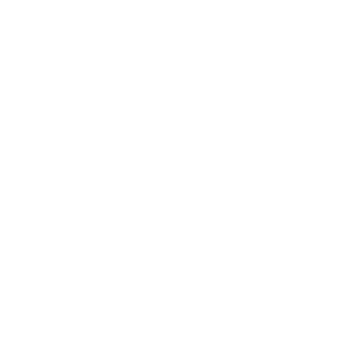 Owl - Wisdom